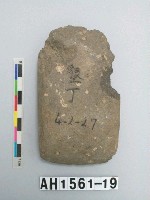 藏品(中型磨製石錛)的圖片